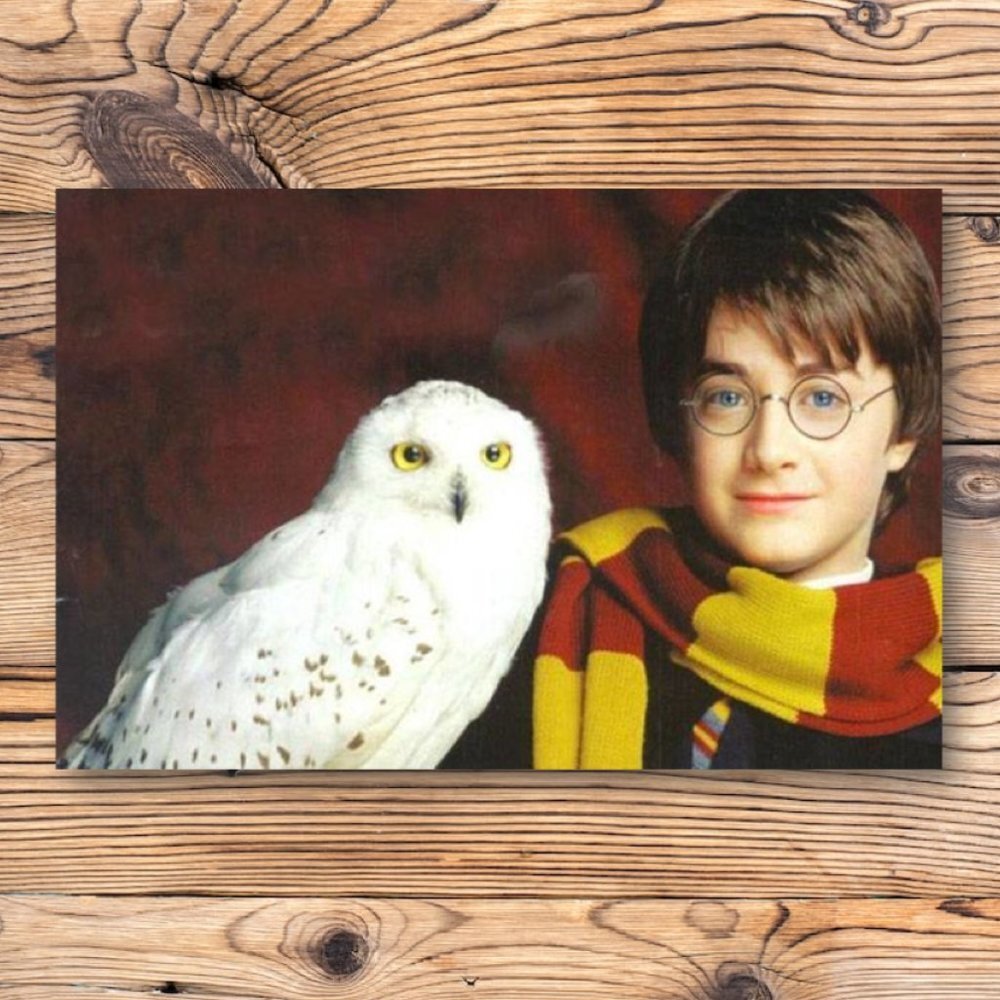 Harry Potter Owl Hedwig Refrigerator Locker Fridge Magnet
